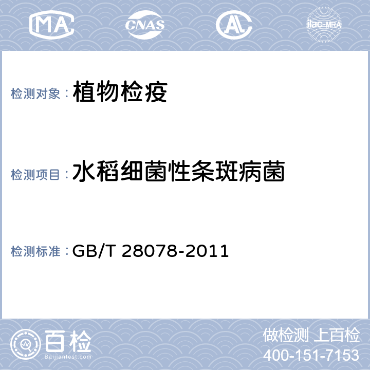 水稻细菌性条斑病菌 水稻白叶枯病菌,水稻细菌性条斑病菌检疫鉴定方法 GB/T 28078-2011