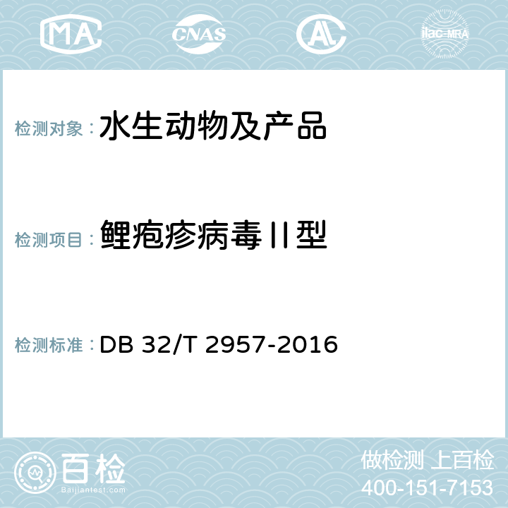鲤疱疹病毒Ⅱ型 DB32/T 2957-2016 鲤疱疹病毒Ⅱ型检测方法
