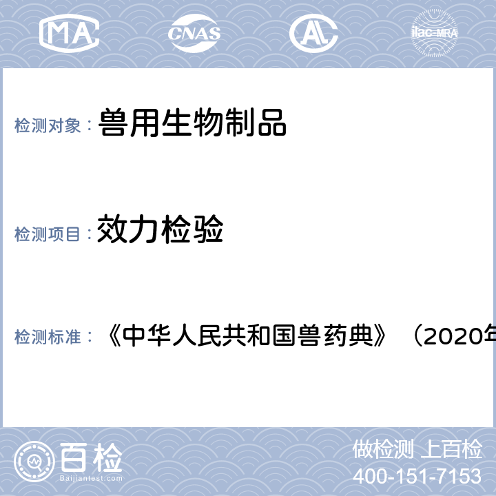 效力检验 牛副伤寒灭活疫苗 《中华人民共和国兽药典》（2020年版） 三部