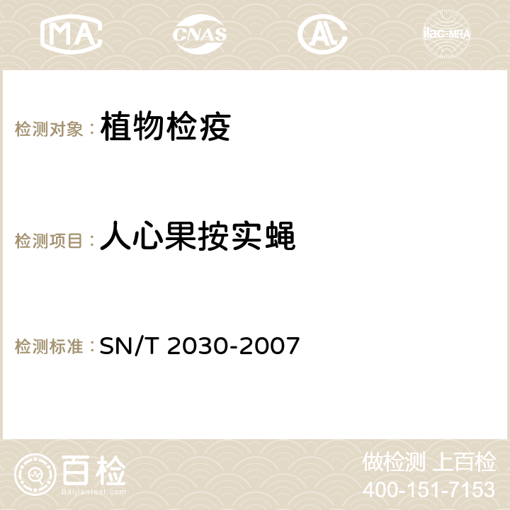 人心果按实蝇 按实蝇属鉴定方法 SN/T 2030-2007