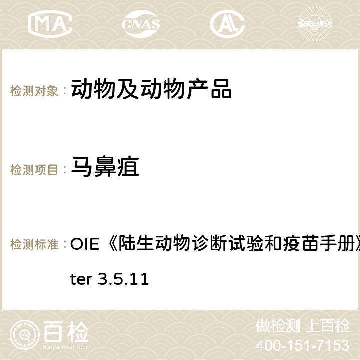 马鼻疽 马鼻疽 OIE《陆生动物诊断试验和疫苗手册》2019 chapter 3.5.11