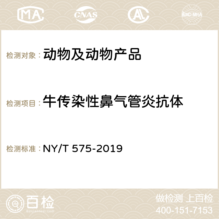 牛传染性鼻气管炎抗体 牛传染性鼻气管炎诊断技术 NY/T 575-2019