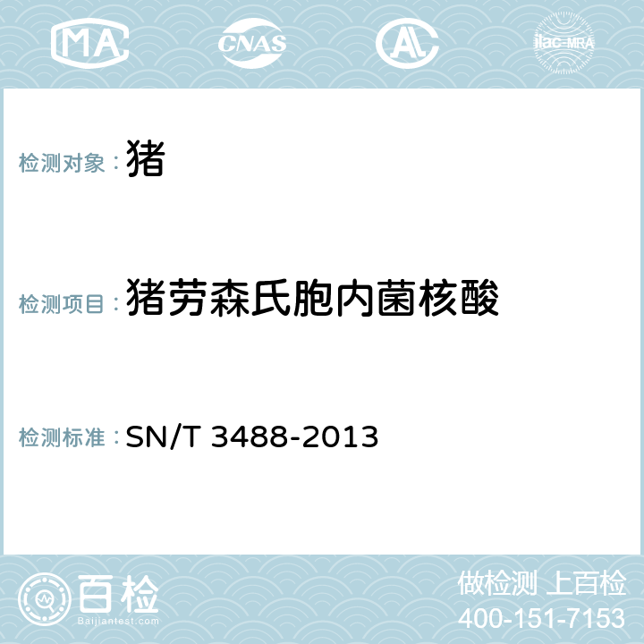 猪劳森氏胞内菌核酸 猪劳森氏胞内菌荧光PCR检疫技术规范 SN/T 3488-2013