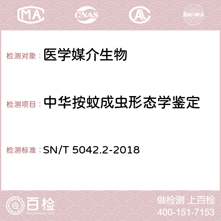 中华按蚊成虫形态学鉴定 常见蚊类鉴定方法 第2部分：中华按蚊 SN/T 5042.2-2018