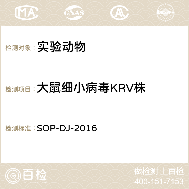 大鼠细小病毒KRV株 大鼠细小病毒KRV株检测方法 SOP-DJ-2016