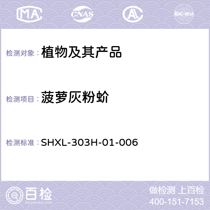 菠萝灰粉蚧 SHXL-303H-01-006 口岸截获常见粉蚧检疫鉴定方法 