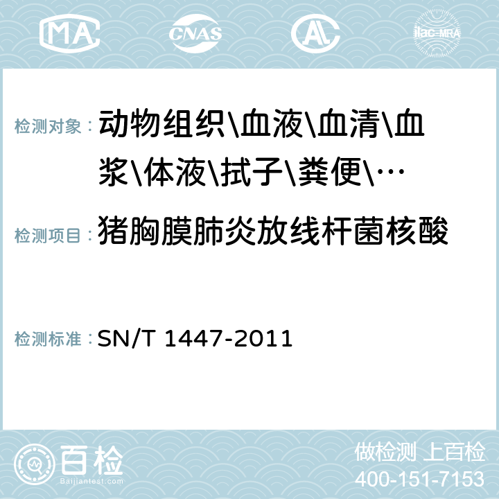 猪胸膜肺炎放线杆菌核酸 猪传染性胸膜肺炎检疫技术规范 SN/T 1447-2011