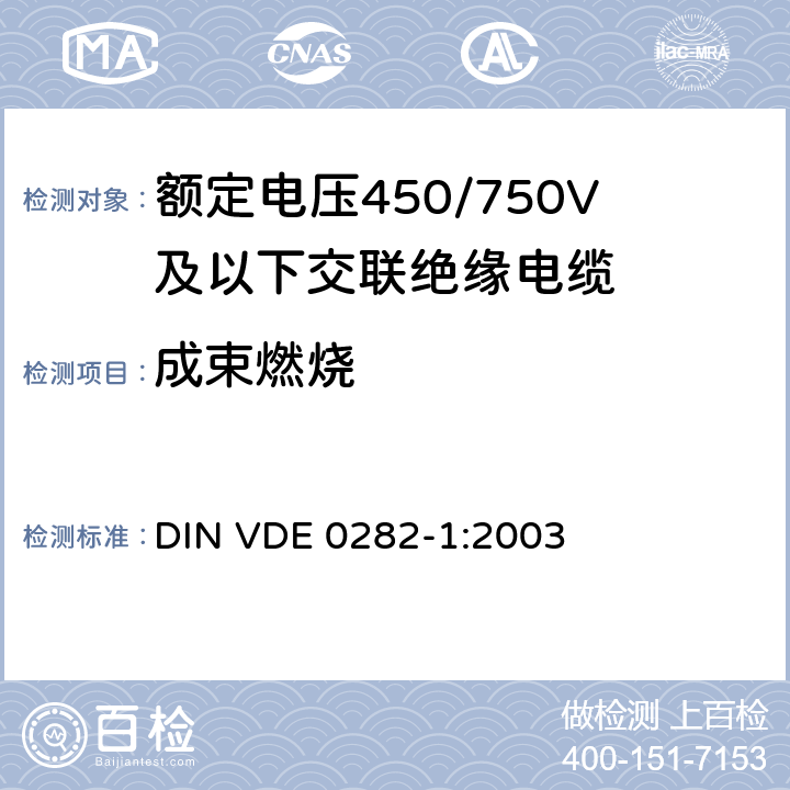 成束燃烧 额定电压450/750V及以下交联绝缘电缆 第1部分:一般规定 DIN VDE 0282-1:2003 5.6.4