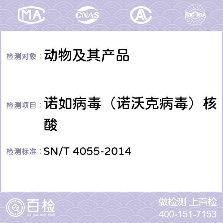 诺如病毒（诺沃克病毒）核酸 贝类中诺如病毒检测方法 普通RT-PCR方法和实时荧光RT-PCR方法 SN/T 4055-2014