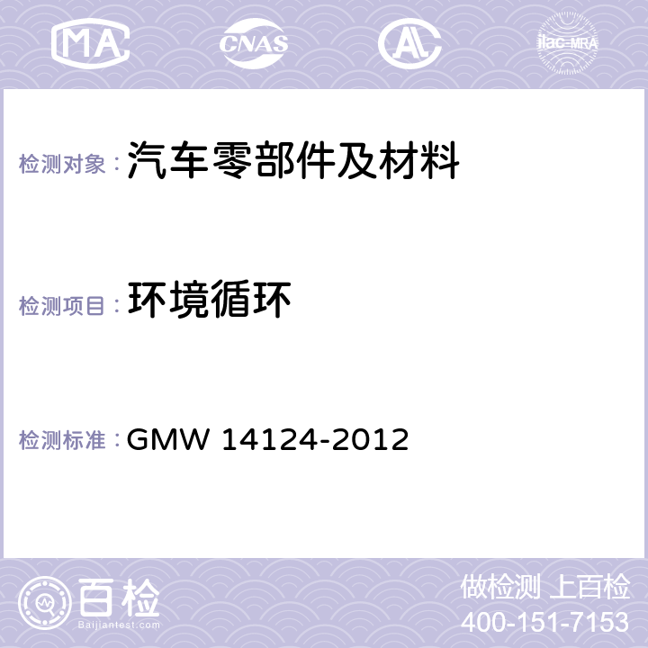 环境循环 汽车环境循环 GMW 14124-2012 /4