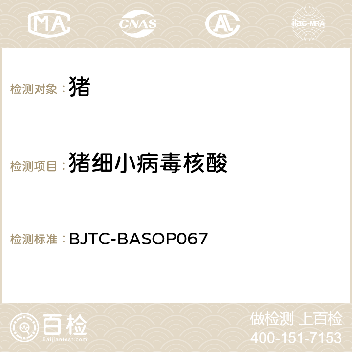 猪细小病毒核酸 猪细小病毒荧光PCR检测方法 BJTC-BASOP067