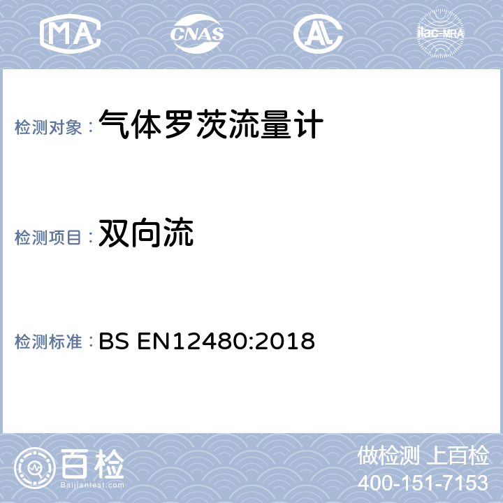 双向流 BS EN12480:2018 罗茨流量计  5.8