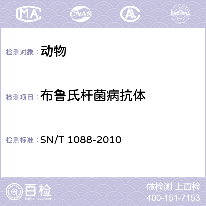 布鲁氏杆菌病抗体 布氏杆菌检疫技术规范 SN/T 1088-2010 6.2,6.3,6.4,6.5,6.7