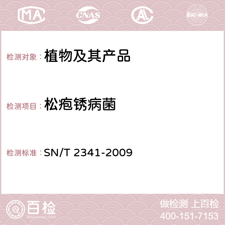 松疱锈病菌 SN/T 2341-2009 松疱锈病菌检疫鉴定方法