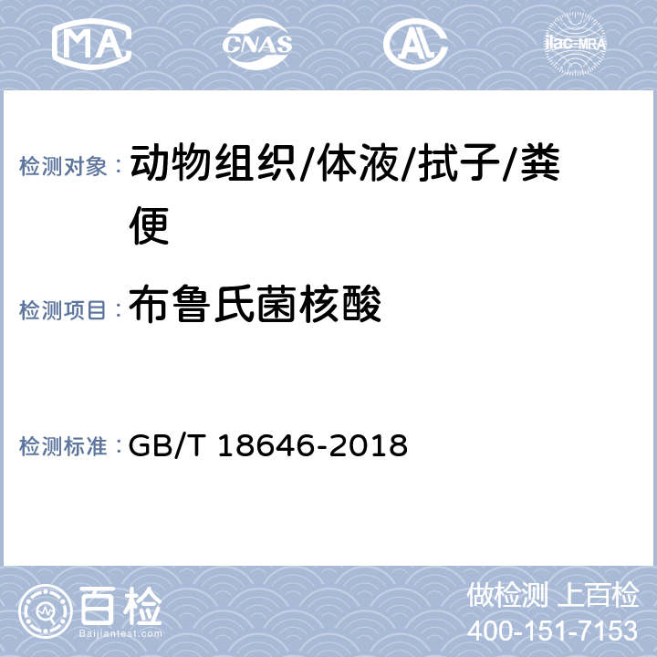 布鲁氏菌核酸 GB/T 18646-2018 动物布鲁氏菌病诊断技术