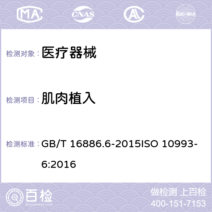 肌肉植入 医疗器械生物学评价 第6部分:植入后局部反应试验 GB/T 16886.6-2015ISO 10993-6:2016