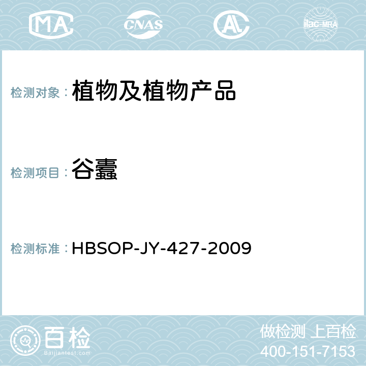 谷蠹 谷蠹检疫鉴定方法 HBSOP-JY-427-2009