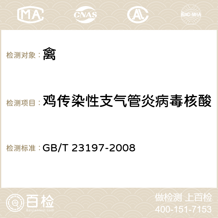 鸡传染性支气管炎病毒核酸 鸡传染性支气管炎诊断技术 GB/T 23197-2008