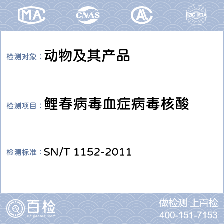鲤春病毒血症病毒核酸 鲤春病毒血症检疫技术规范 SN/T 1152-2011