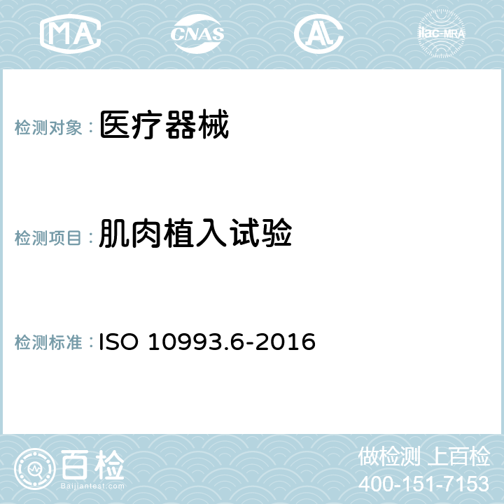 肌肉植入试验 医疗器械生物学评价 第6部分 植入后局部反应试验 ISO 10993.6-2016