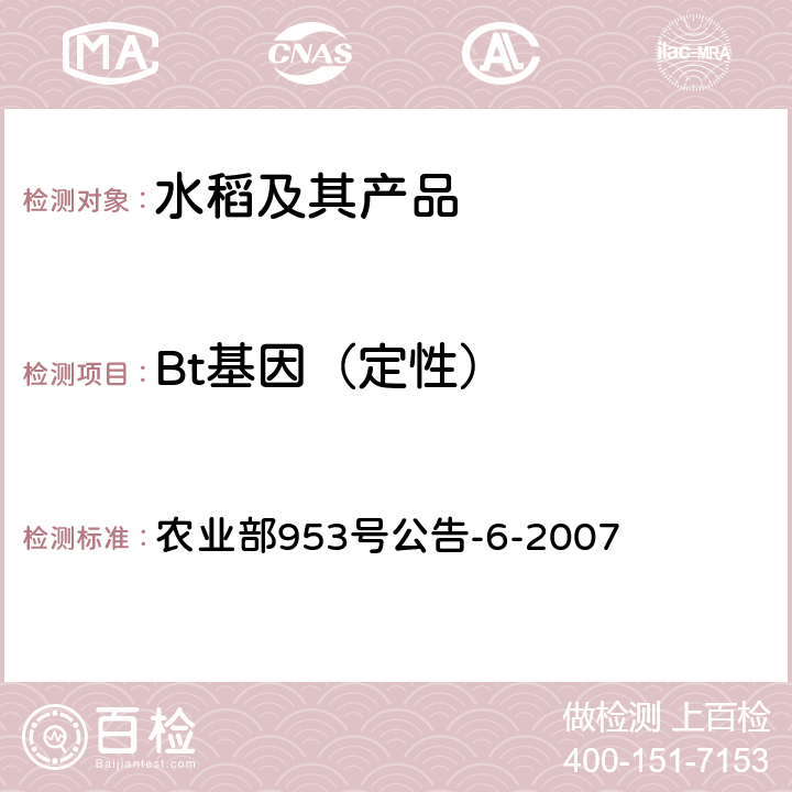 Bt基因（定性） 《转基因植物及其产品成分检测 抗虫转Bt基因水稻定性PCR方法》 农业部953号公告-6-2007