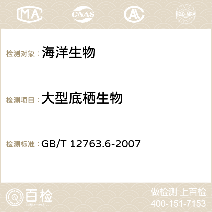 大型底栖生物 海洋调查规范 第6部分：海洋生物调查 GB/T 12763.6-2007 10.3