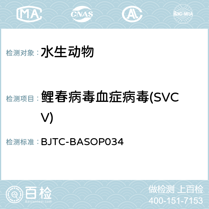鲤春病毒血症病毒(SVCV) 鲤春病毒病毒荧光RT-PCR检测方法 BJTC-BASOP034