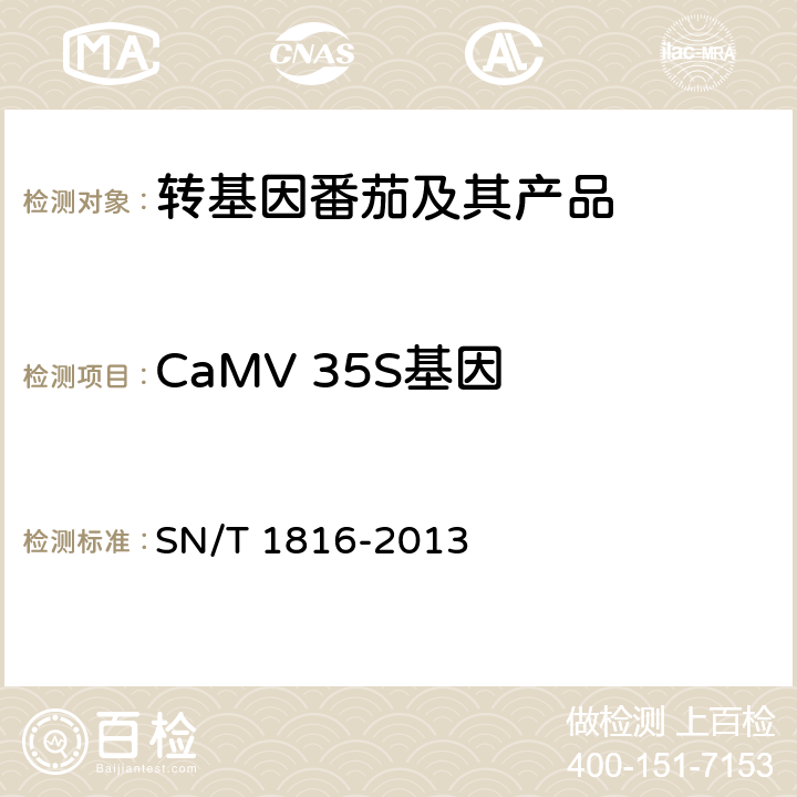 CaMV 35S基因 转基因成分检测 番茄检测方法 SN/T 1816-2013