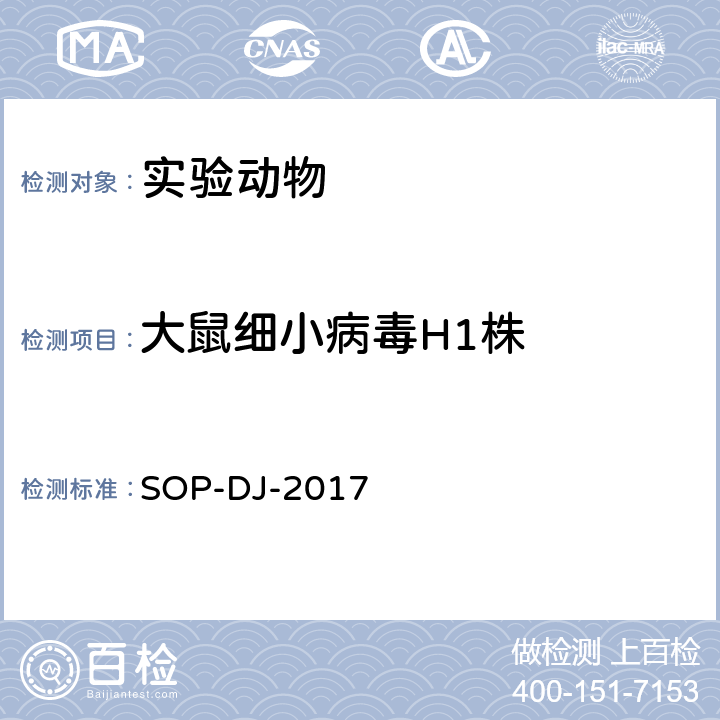 大鼠细小病毒H1株 大鼠细小病毒H1株检测方法 SOP-DJ-2017