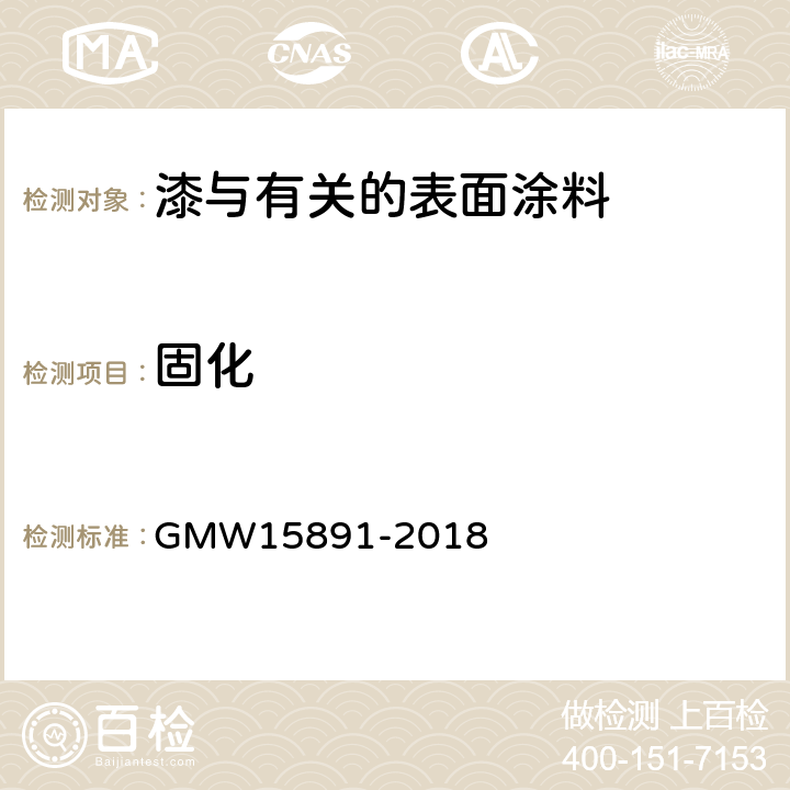 固化 有涂层的金属或塑料基材的固化测定-溶剂擦拭方法 GMW15891-2018