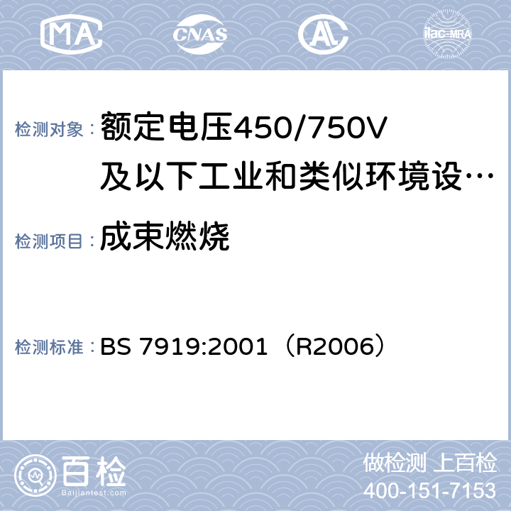 成束燃烧 BS 7919:2001 额定电压450/750V及以下工业和类似环境设备和装置用软电缆 （R2006） 6.10.2