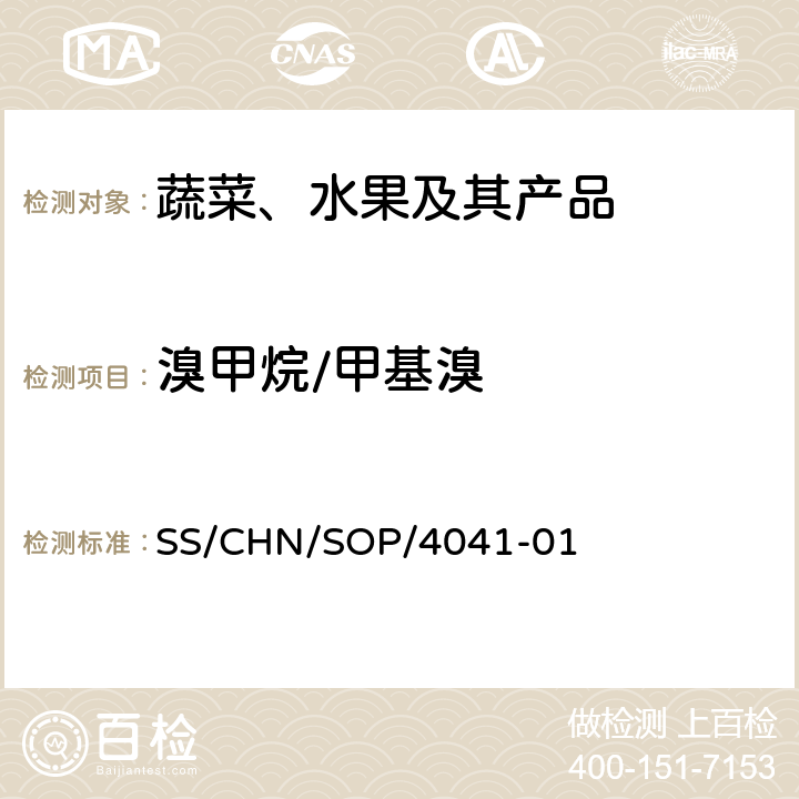 溴甲烷/甲基溴 甲基溴顶空测定法 SS/CHN/SOP/4041-01