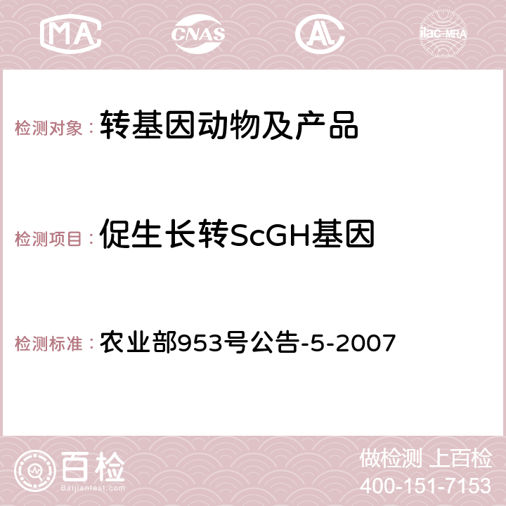 促生长转ScGH基因 转基因动物及其产品成分检测 促生长转ScGH基因鲤鱼 定性PCR方法 农业部953号公告-5-2007