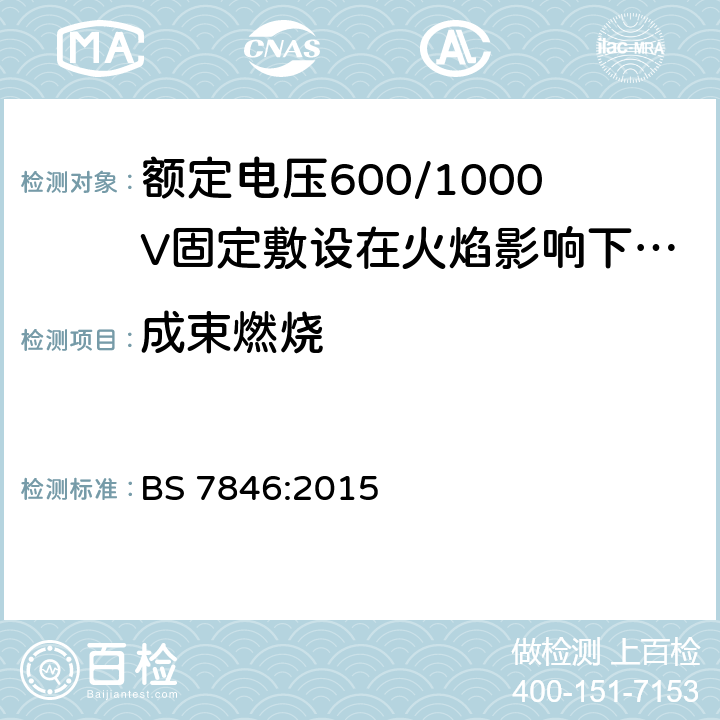 成束燃烧 BS 7846-2015 电缆 受火影响时排放少量烟和腐蚀气体的600/1000 V 热固绝缘铠装耐火电缆