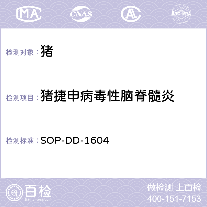 猪捷申病毒性脑脊髓炎 猪捷申病毒荧光RT-PCR 检测方法 SOP-DD-1604