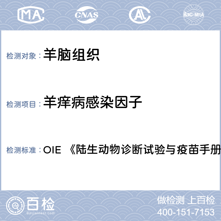 羊痒病感染因子 蛋白免疫印迹方法 OIE 《陆生动物诊断试验与疫苗手册》（2018版） 3.7.11章