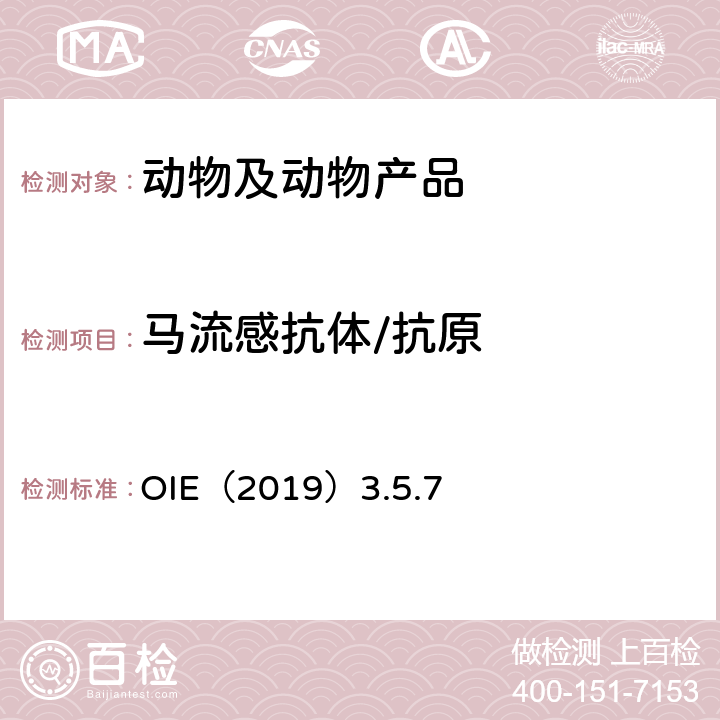 马流感抗体/抗原 马流感 OIE陆生动物诊断试验与疫苗手册（2019）3.5.7 OIE（2019）3.5.7