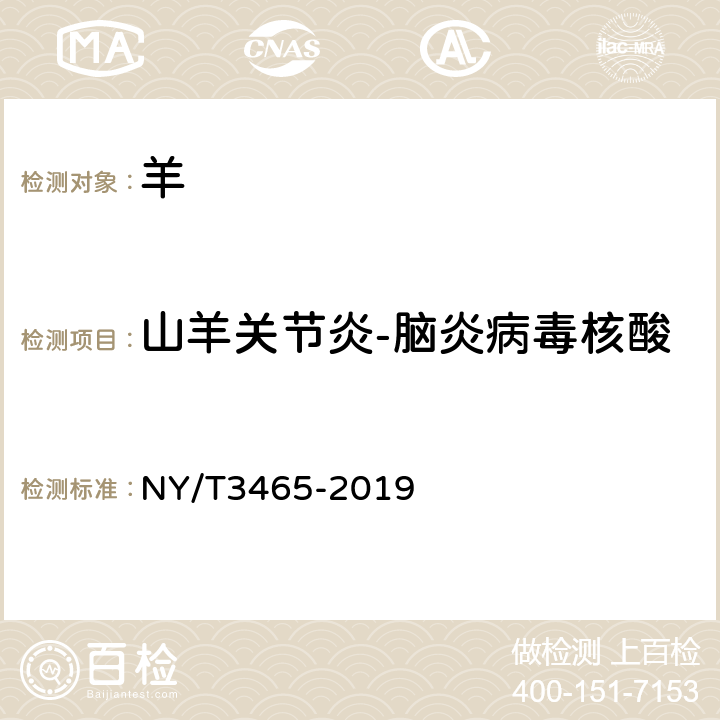 山羊关节炎-脑炎病毒核酸 山羊关节炎脑炎诊断技术 NY/T3465-2019