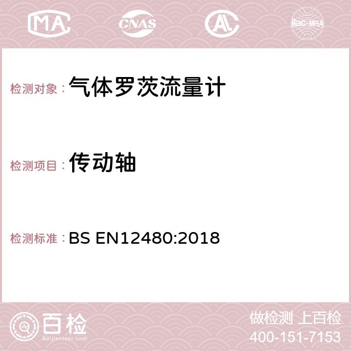 传动轴 罗茨流量计 BS EN12480:2018 7.3