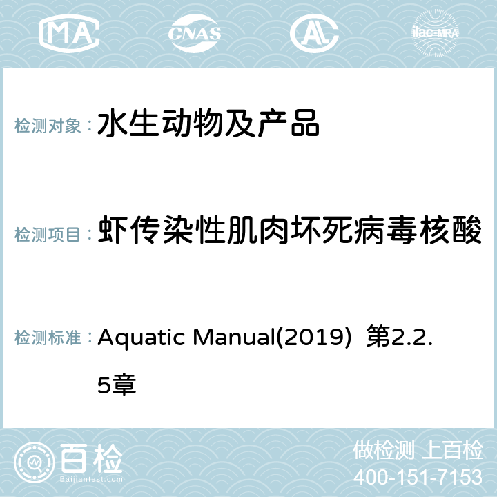 虾传染性肌肉坏死病毒核酸 OIE《水生动物疾病诊断手册》 Aquatic Manual(2019) 第2.2.5章