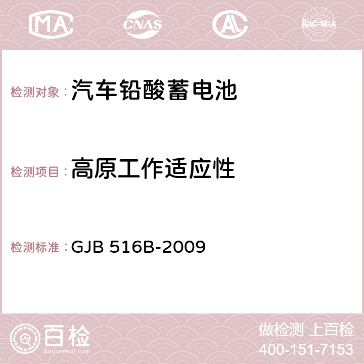 高原工作适应性 GJB 516B-2009 军用汽车铅酸蓄电池通用规范  4.5.18.4