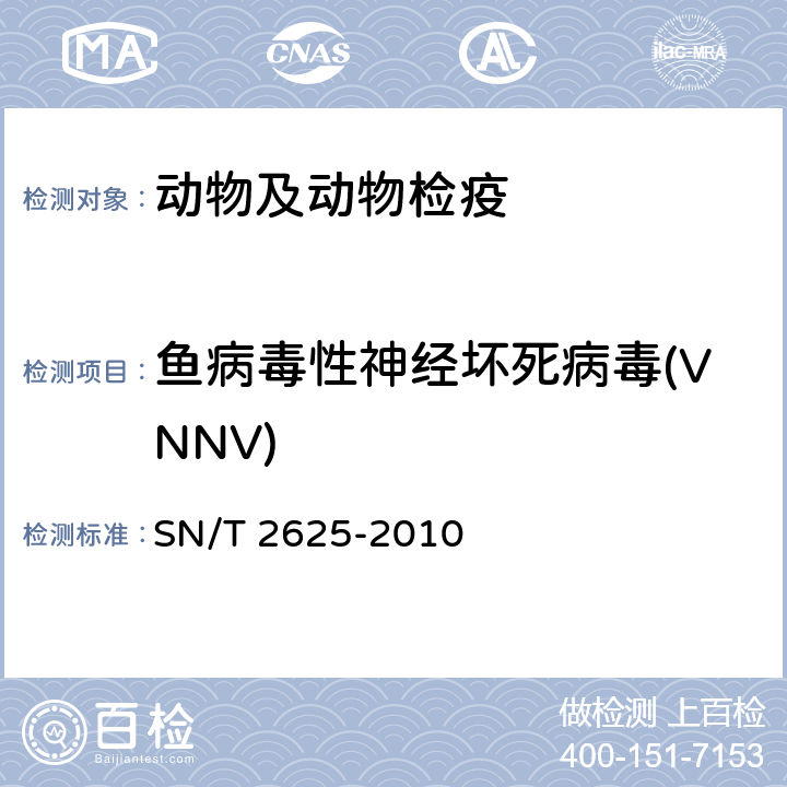 鱼病毒性神经坏死病毒(VNNV) 病毒性脑病和视网膜病检疫规范 SN/T 2625-2010 8.3,8.4