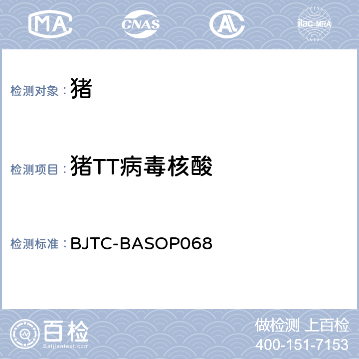 猪TT病毒核酸 猪TT病毒荧光PCR检测方法 BJTC-BASOP068