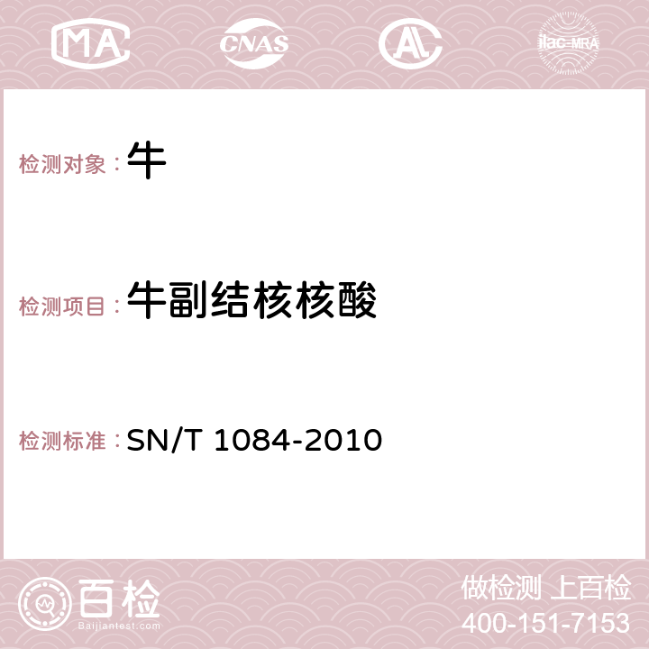 牛副结核核酸 牛副结核病检疫技术规范 SN/T 1084-2010