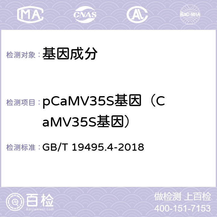 pCaMV35S基因（CaMV35S基因） 转基因产品检测 实时荧光定性聚合酶链式反应（PCR）检测方法 GB/T 19495.4-2018