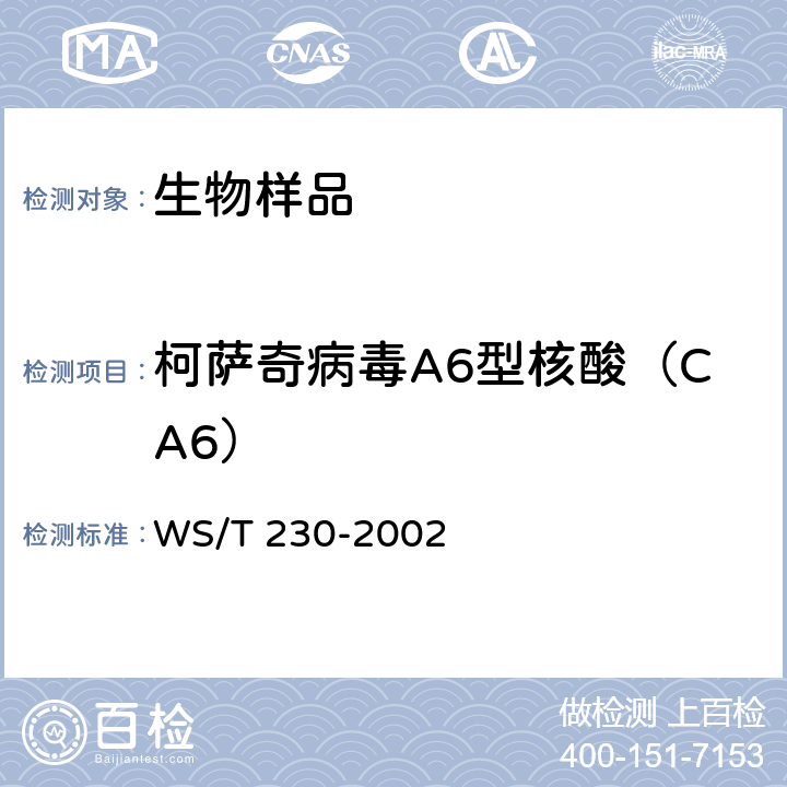 柯萨奇病毒A6型核酸（CA6） 临床诊断中聚合酶链反应(PCR)技术的应用 WS/T 230-2002