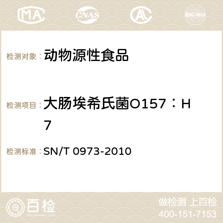 大肠埃希氏菌O157：H7 进出口肉及肉制品及其他食品中肠出血性大肠杆菌O157：H7检验方法 SN/T 0973-2010