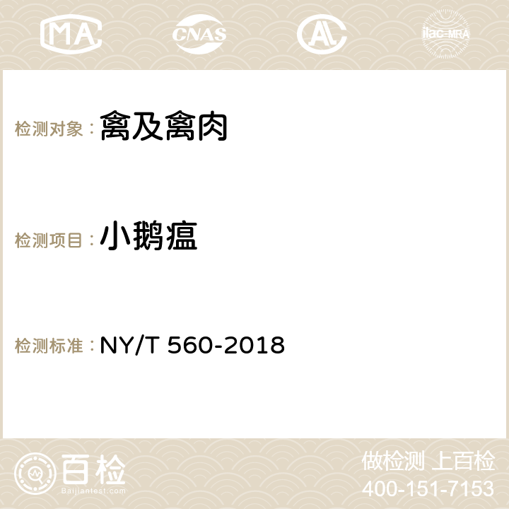 小鹅瘟 小鹅瘟诊断技术 NY/T 560-2018
