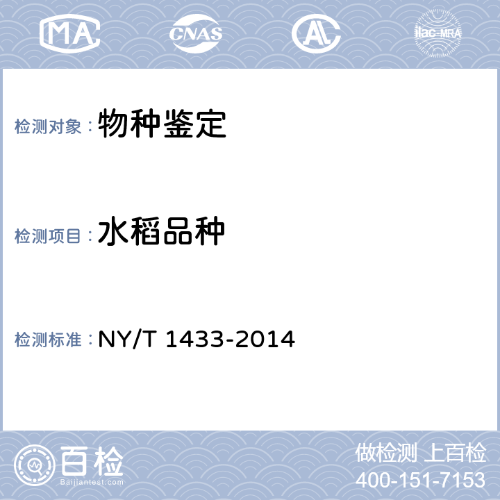 水稻品种 水稻品种鉴定技术规程 SSR标记法 NY/T 1433-2014