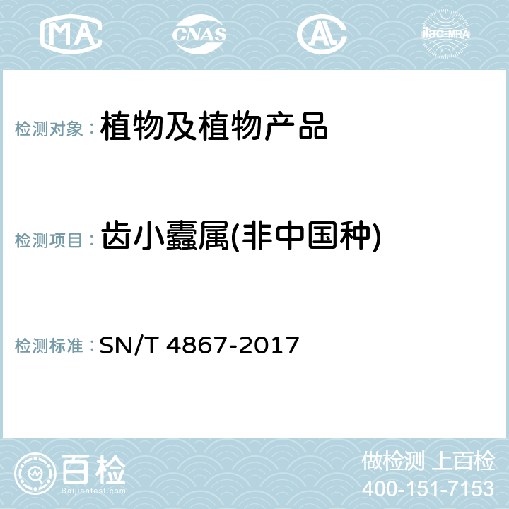 齿小蠹属(非中国种) 齿小蠹属(非中国种)检疫鉴定方法 SN/T 4867-2017